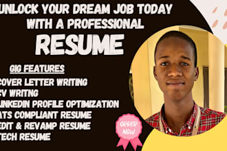 do professional resume writing service, ats resume