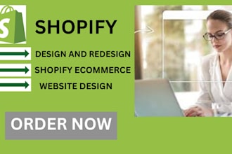 clone and duplicate shopify store, website design, dropshipping store and design