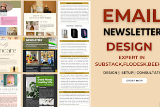 setup and promote account, manage and your substack or beehiiv newsletter