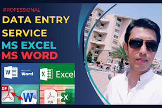 do excel or word data segment and analysis, reports, convert and more