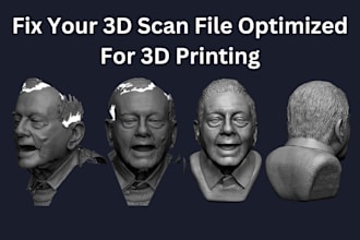 clean up and repair your models and 3d scan model for 3d printing