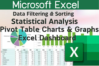 do excel charts, graphs, pivot table, data formatting, analysis, dashboard