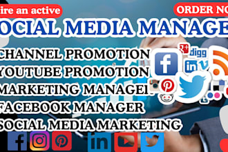 be youtube expert in social media content tiktok monetization
