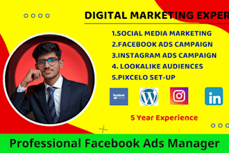run profitable facebook instgram linkedin ads campaign