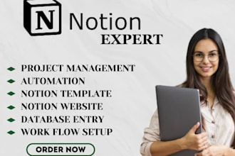 design notion database, notion template, notion expert, project management