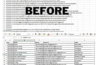 clean, merge,organize,format and typing excel data