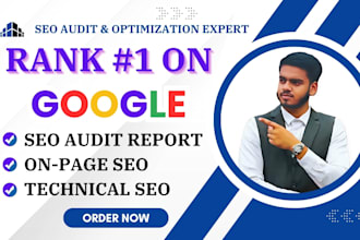provide a website audit report, on page SEO, and technical optimization