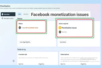consult facebook monetization issues