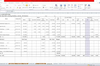 make a professional paystub, pay check, stubs, payroll slip, salary slips