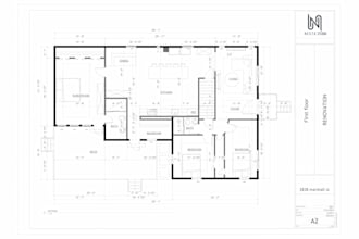draw any type of 2d drawing in revit plan,elevation,section