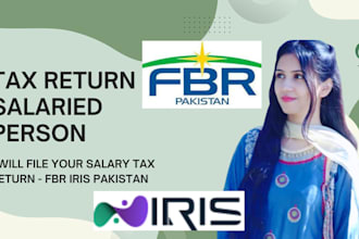 file income tax return for salaried person 2024 fbr iris pakistan