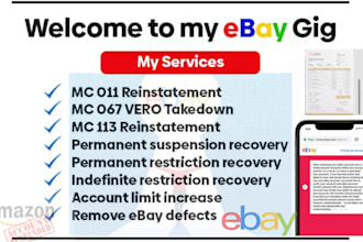 provide you appeal or authorization letter for amazon, ebay