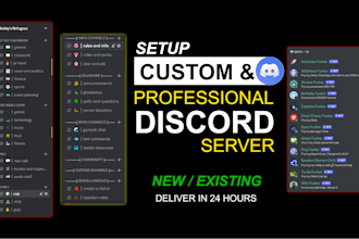 do professional discord server setup within 24 hours