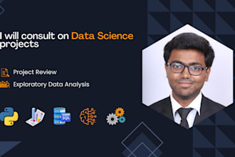 consult on data science projects
