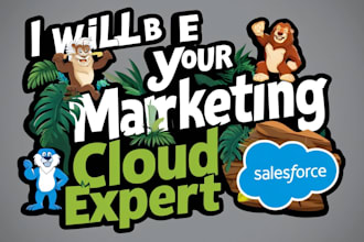 be you salesforce marketing cloud expert