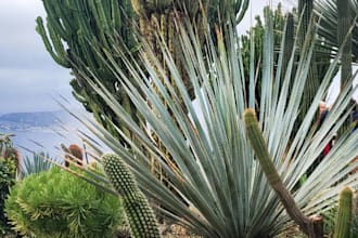 do an essay on plant taxonomy and up to date research in botany