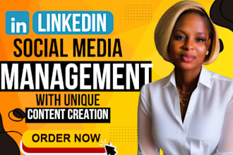 pinterest, linkedin social media marketing manager and SEO optimization,b2b sett