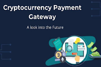 create crypto payment processor, high risk payment gateway for your website