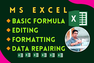 create and fix any basic formula and data repairing in excel