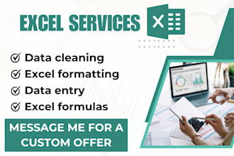do ms excel data cleaning, formatting, merging, and data entry