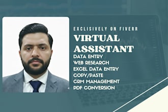 be your virtual assistant for data entry, copy paste, web research