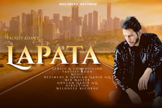 compose professional urdu hindi songs for you