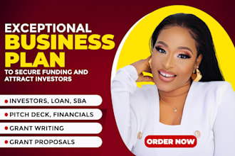 do investor ready business plan, grant proposal, financial analysis, pitch deck