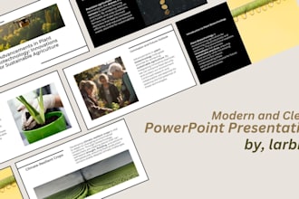 provide professional powerpoint presentations and pitch decks
