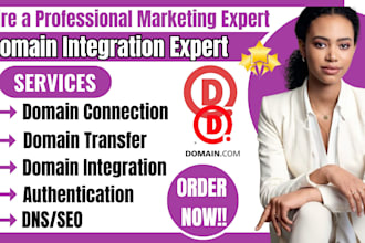 connect, fix, transfer domain to systeme io godaddy shopify bluehost hostinger