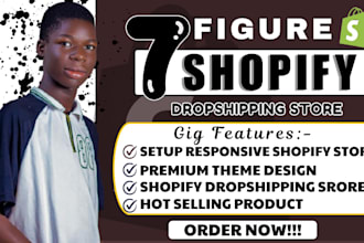 create 7 figure shopify dropshipping store, redesign shopify website