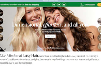 design hot selling hair extension shopify jewelry store beauty cosmetics website