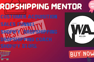 shopify dropshipping mentor cosultant coaching tutor to shopify store design SEO