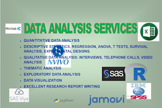 analyze qualitative, quantitative survey data and report using spss excel r tool