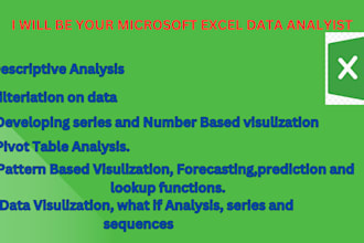 be your microsoft excel data analyst