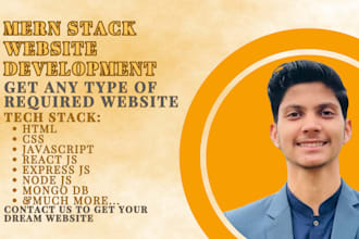 do website development, mern stack developer, react js, website for business