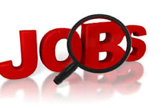 search and apply for remote jobs on your behalf