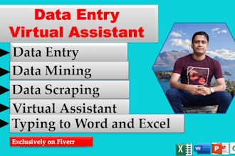 be professional data entry virtual assistant operator