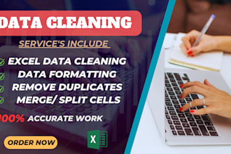 clean, organize, merge, split and format your excel data