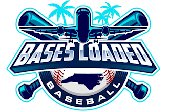 design wonderful baseball logo with free vector file