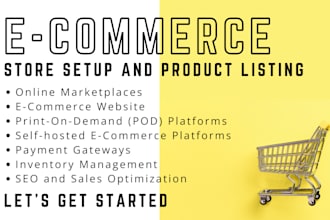 build shopify store or dropshipping ecommerce store