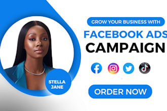 run facebook ads campaign, marketing, advertising, fb and instagram ad manager