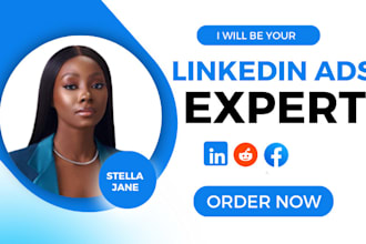 setup and manage linkedin ads campaign, social media marketing
