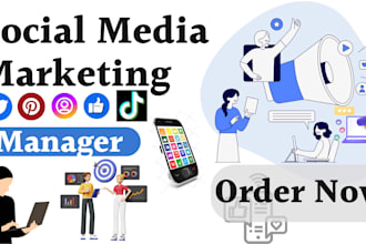 be manager for social media marketing linkedin tiktok ads facebook promotion ig