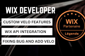 customize wix website using wix velo, wix code and databases