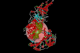 provide expert drug discovery services