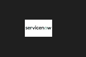 do perform account payable activities and supplier payments