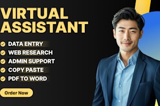 professional virtual assistant for data entry, web research, and admin support