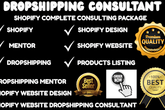 shopify dropshipping consultant mentor coaching tutor dropshipping shopify store
