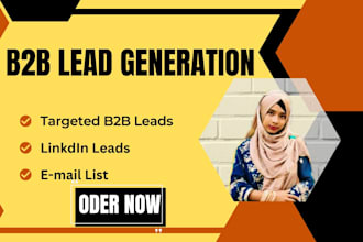 build niche targeted b2b lead generation, email lead and linkedin lead