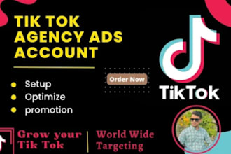 create a verified tiktok agency account, tiktok ads account location targeting